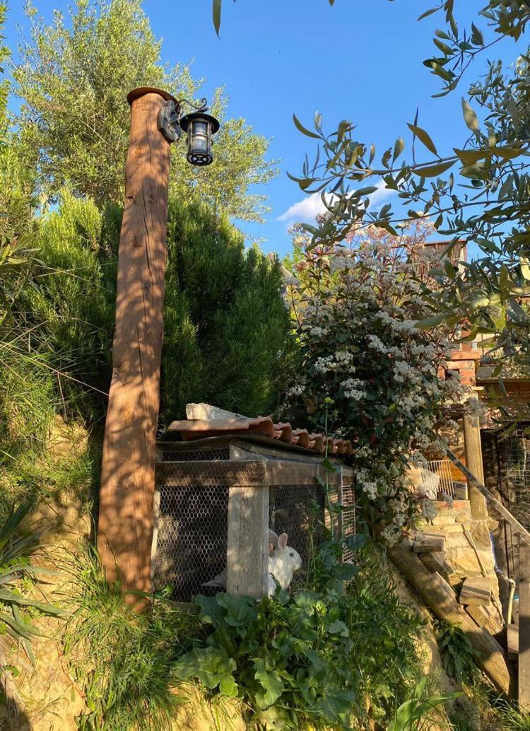 Bujtina Salko Villa Mucaj Exterior photo